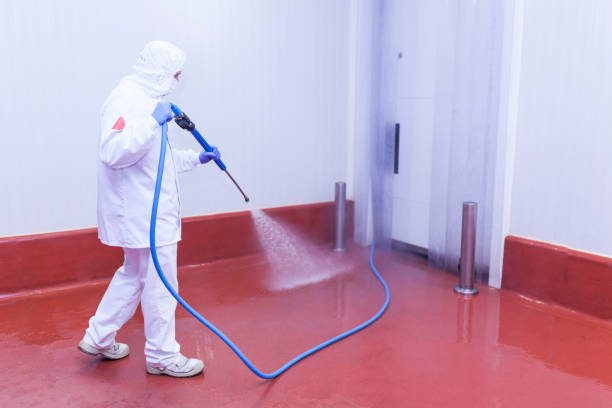 Best Building Exterior Washing  in Spring Lake, NJ