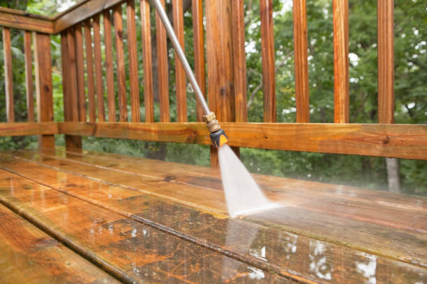 Best Dumpster Area Cleaning  in Spring Lake, NJ